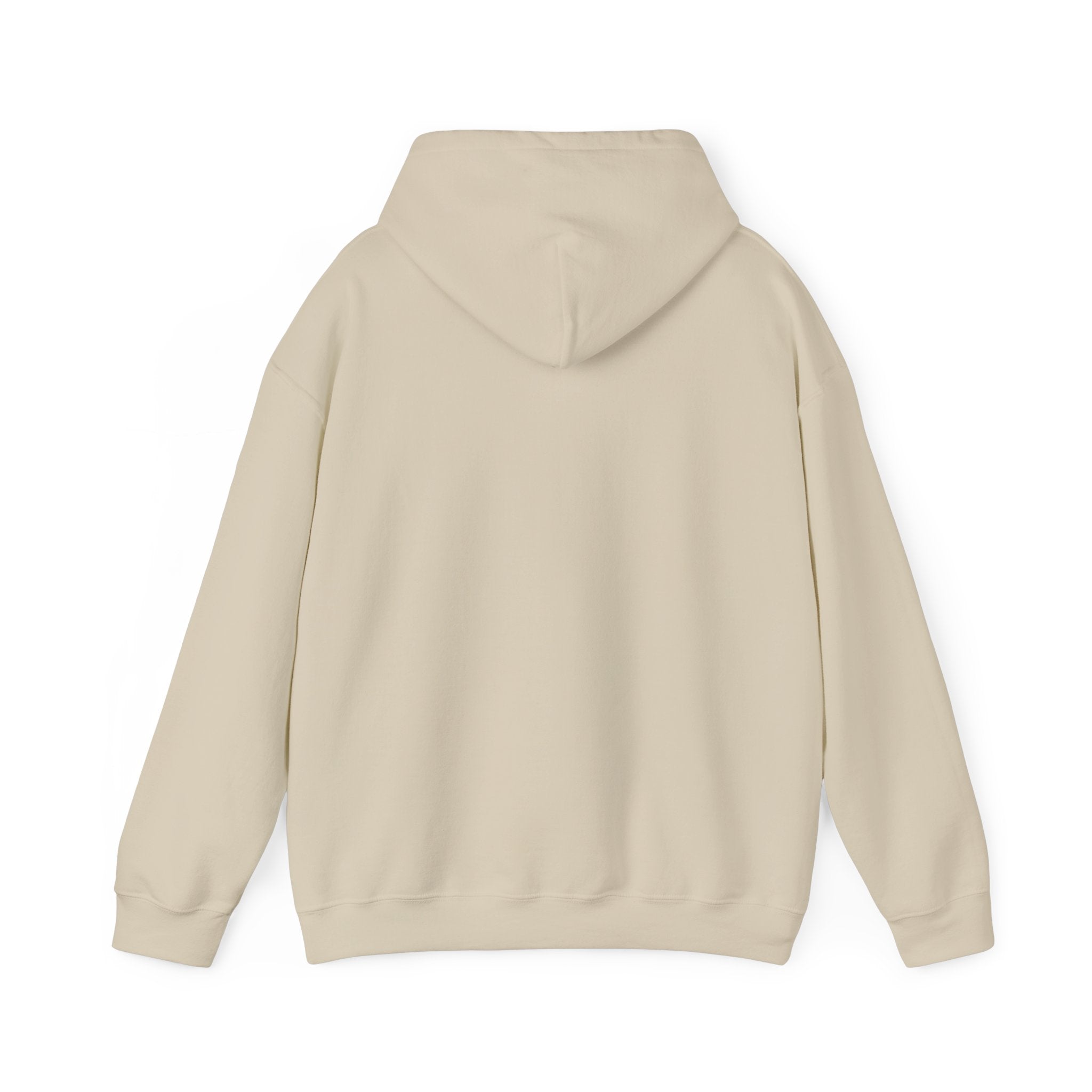 Eye Don't Chase Hooded Sweatshirt